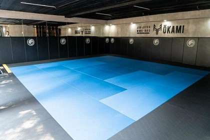 Imagen 4 de la galería del partner Okami Martial Arts