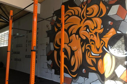 Imagem 3 da galeria do parceiro Crossfit Celeiro