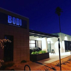 Image 2 from BODI partner gallery