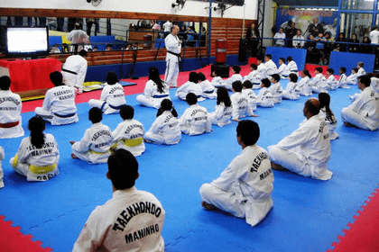 Imagem 2 da galeria do parceiro Taekwondo Maninho
