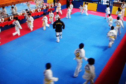 Imagem 4 da galeria do parceiro Taekwondo Maninho