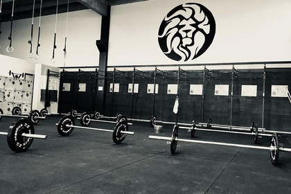 Immagine 3 dalla galleria del partner Crossfit Wild Lions