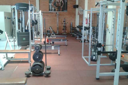 Imagem 7 da galeria do parceiro Olympia academia