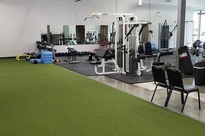 Image 3 from V.I.P. Health & Fitness Clinic partner gallery