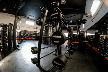 Imagem 7 da galeria do parceiro Good Shape Fitness