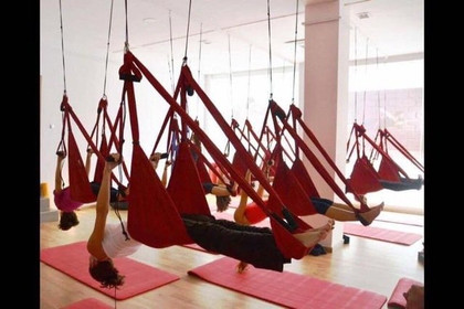 Imagen 7 de la galería del partner Gimnasio Parque