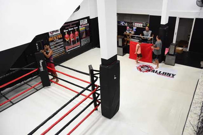Imagem 1 da galeria do parceiro Stallony Team Artes Marciais