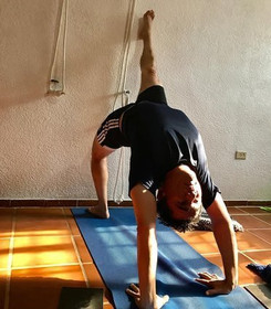 Imagen 1 de la galería del partner Virya Yoga Francisco de Montejo