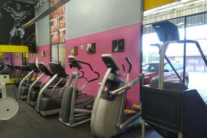 Imagen 7 de la galería del partner Sportex Fitness Club Texcoco
