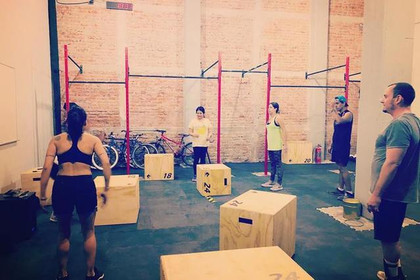 Imagen 1 de la galería del partner Alpha Wolf Wellness Center