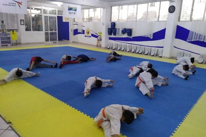 Imagen 3 de la galería del partner Tollan Tkd San Marcos