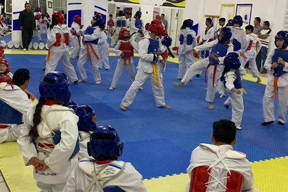 Imagen 4 de la galería del partner Tollan Tkd San Marcos