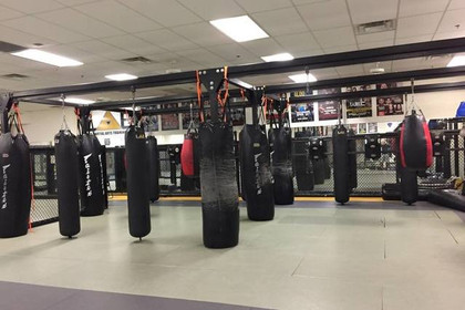 Image 1 from MMA Lab partner gallery