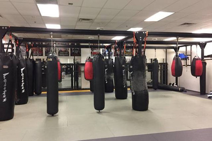Image 2 from MMA Lab partner gallery