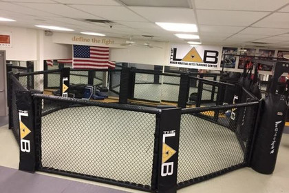 Image 4 from MMA Lab partner gallery
