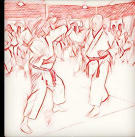 Imagem 4 da galeria do parceiro Dento Dojo – Escola de Karate-Do Tradicional