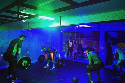 Imagen 1 de la galería del partner Gym The Jungle