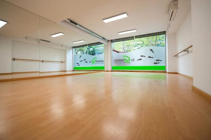 Imagen 3 de la galería del partner El Gimnàs