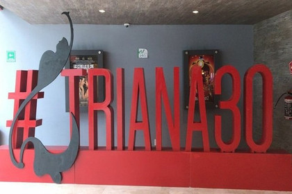 Imagen 1 de la galería del partner Academia Triana