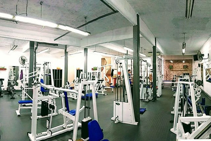 Imagen 2 de la galería del partner Signum
