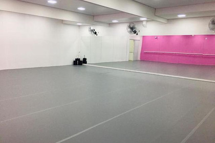 Imagem 4 da galeria do parceiro Grand Ballet Marina Lira
