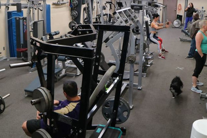 Image 2 from CZ Fitness partner gallery