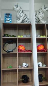 Imagem 8 da galeria do parceiro Staff Pilates