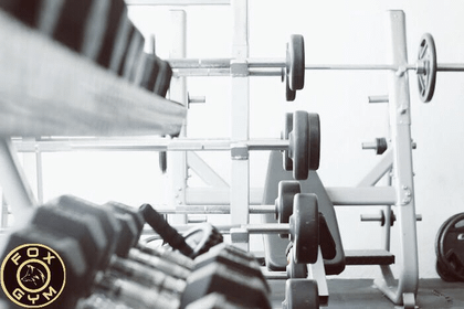 Imagen 4 de la galería del partner Fox Gym Oficial