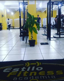 Imagem 1 da galeria do parceiro Estilo Fitness Academia