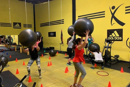 Imagen 2 de la galería del partner BEGSFIT PERFORMANCE