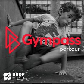 Imagem 4 da galeria do parceiro Drop and Leap Escola de Parkour | Central Residencial