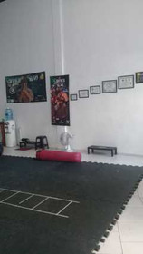 Imagem 3 da galeria do parceiro Academia Pitbull Fighters