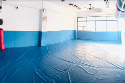 Imagem 8 da galeria do parceiro Academia Victory