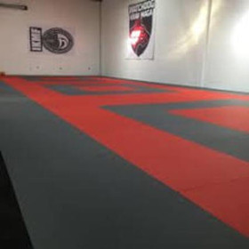 Image 3 from WATCHDOG KRAV MAGA partner gallery