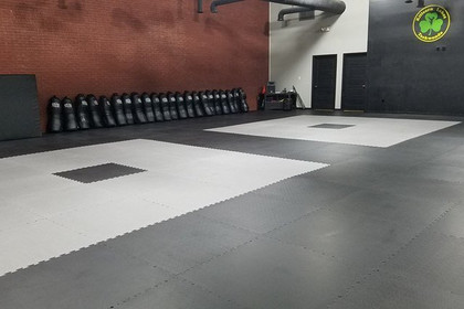 Image 1 from Killearn Lakes TaeKwonDo partner gallery