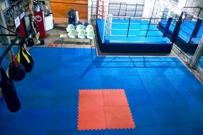 Imagem 4 da galeria do parceiro Centro de Treinamento Mult Fight - Portinho
