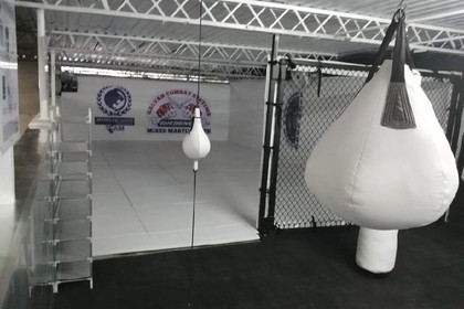 Imagen 1 de la galería del partner Academia Lion Guru