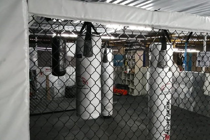 Imagen 4 de la galería del partner Academia Lion Guru