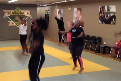 Image 1 from Premier Martial Arts Dover partner gallery