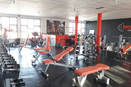 Imagen 1 de la galería del partner WORKOUT GYM Lomas