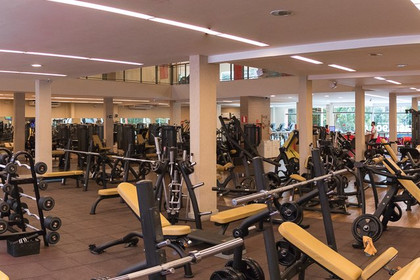 Imagem 7 da galeria do parceiro Orbita Academia - Ilha dos Araújos