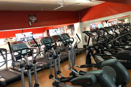Imagen 7 de la galería del partner Body Gym