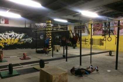 Imagen 1 de la galería del partner Crossfit Elements