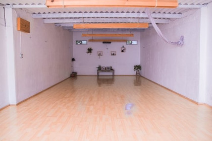 Imagen 5 de la galería del partner Parque