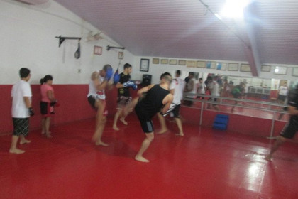 Imagem 7 da galeria do parceiro Spider