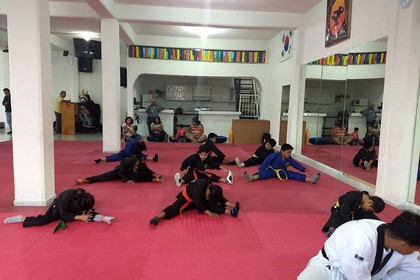 Imagen 1 de la galería del partner Academia Evolution Martial Arts Taekwondo, Kick Boxing