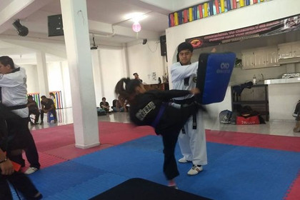 Imagen 2 de la galería del partner Academia Evolution Martial Arts Taekwondo, Kick Boxing