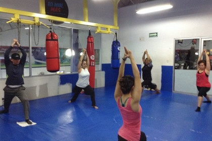 Imagen 5 de la galería del partner Profit Sportclub