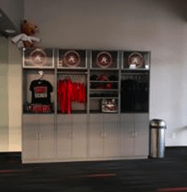 Image 4 from Tiger Rock Martial Arts partner gallery