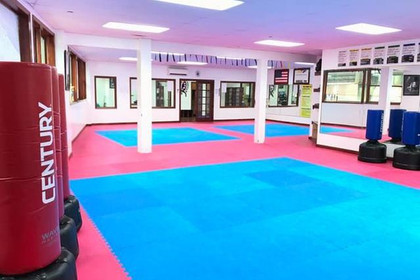 Image 1 from United Tae Kwon Do Center partner gallery